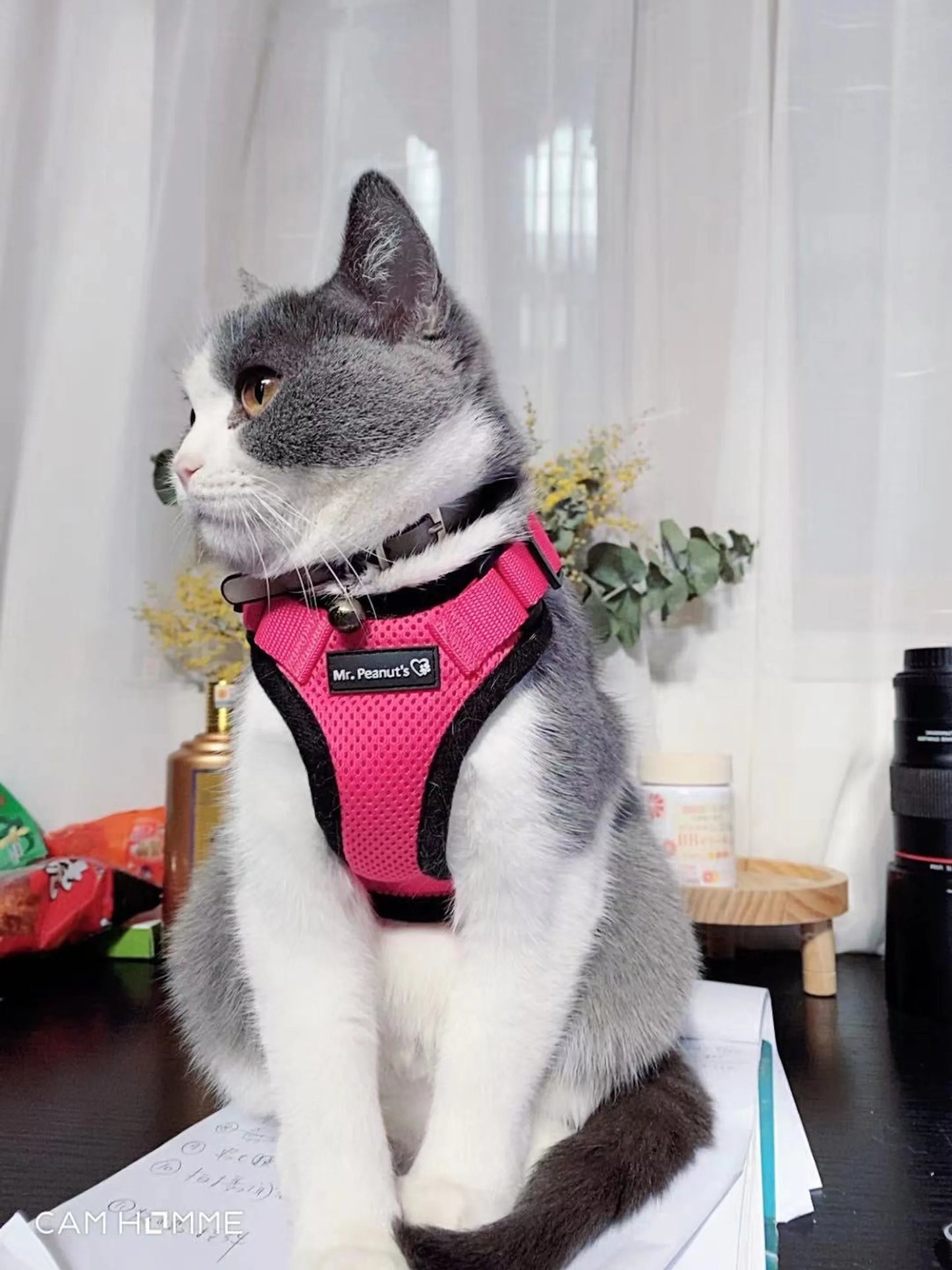 Mr. Peanut's PurrTrek Reflective Cat Harness with Matching Leash