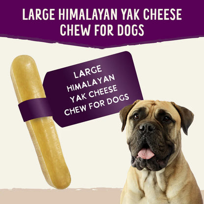 Yak Cheese large