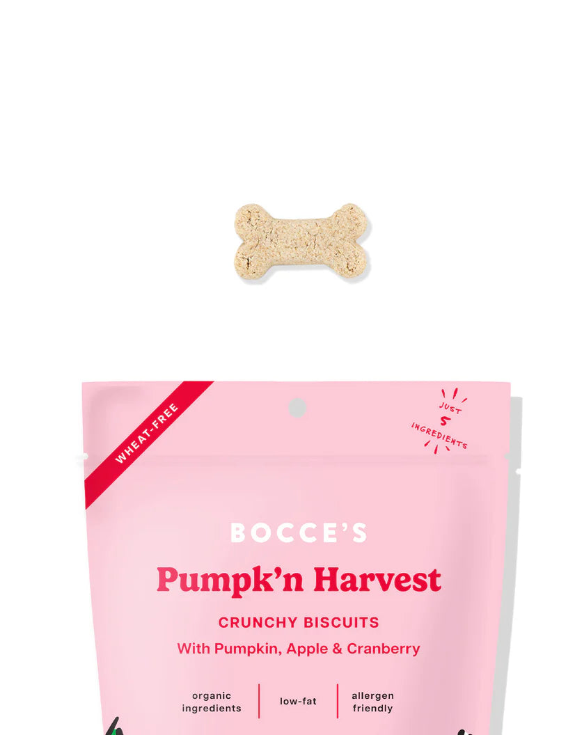 Bocce's Bakery Pumpk'n Harvest Small Batch Biscuit Dog Treats 12oz