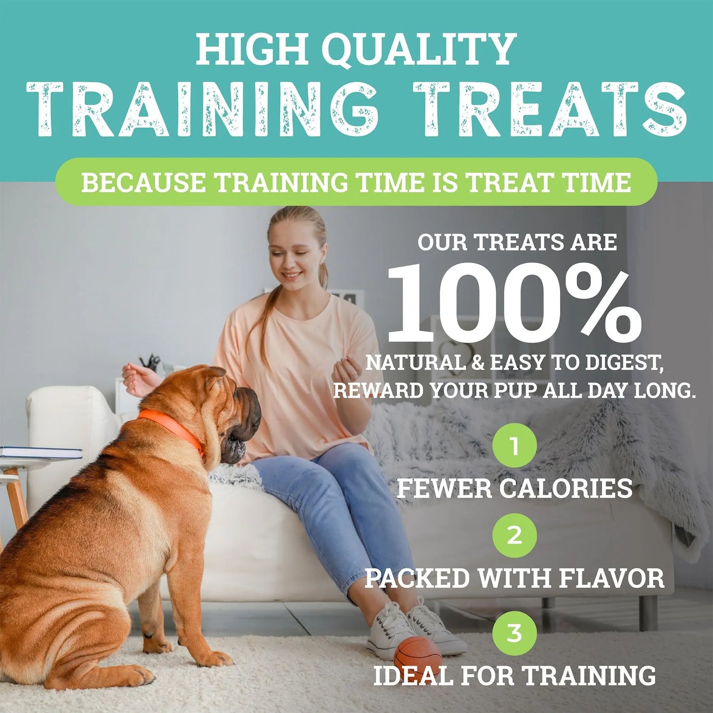 Etta Says! Sit! Dog Training Treats Cheese Recipe 6oz